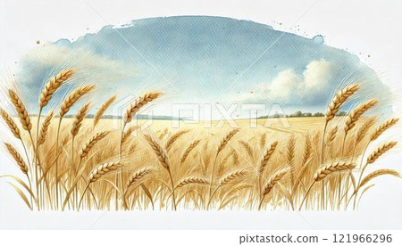 麥田 麥田 121966296