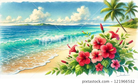 芙蓉和熱帶海 121966582