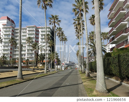 逗子碼頭有美麗的棕櫚樹（靠近主樓/海濱廣場） 121966656