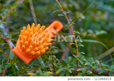 Orange brush for cleaning on green bushes Orange brush for cleaning on green bushes 121966819