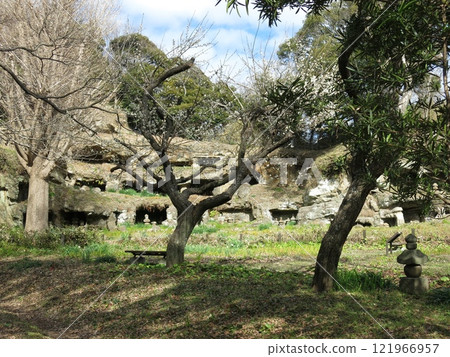 Mandalado Tower Group in Zushi City where plum blossoms bloom 121966957