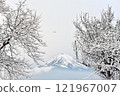 從樹枝上看到的雪山 121967007