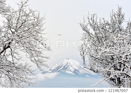 Snow-capped mountain seen from a tree branch Snow-capped mountain seen from a tree branch 121967007