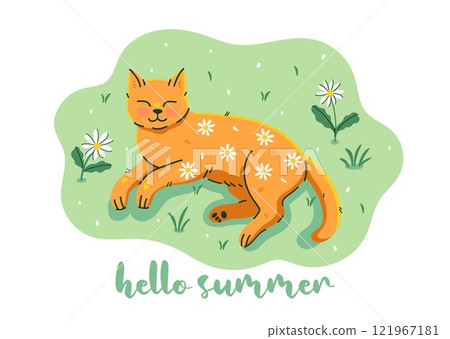 Cute ginger cat with daisies on his belly is sleeping. Vector graphics. 121967181