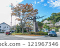 [Kanagawa] Scenery in front of JR Oiso Station 121967346