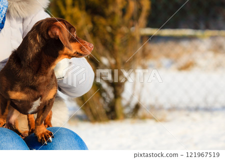 Woman playing with dog during winter 121967519