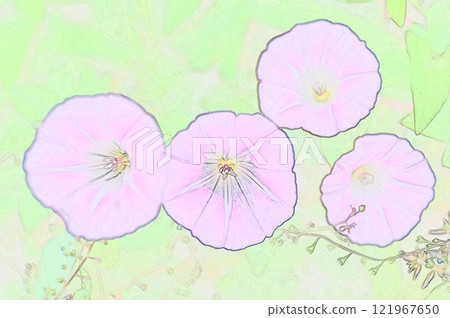 CG image illustration: Field mustard, an invasive species that is an ornamental plant in Japan CG image illustration: Field mustard, an invasive species that is an ornamental plant in Japan 121967650