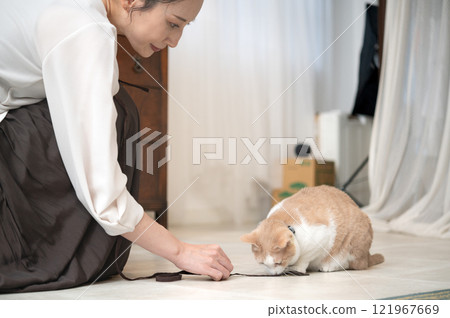 A middle-aged woman playing with a cat A middle-aged woman playing with a cat 121967669