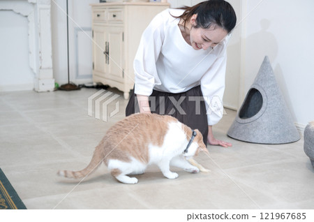 A middle-aged woman playing with a cat 121967685