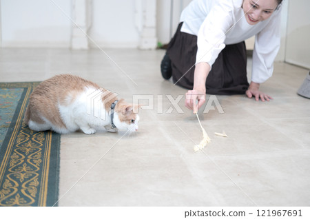 A middle-aged woman playing with a cat A middle-aged woman playing with a cat 121967691