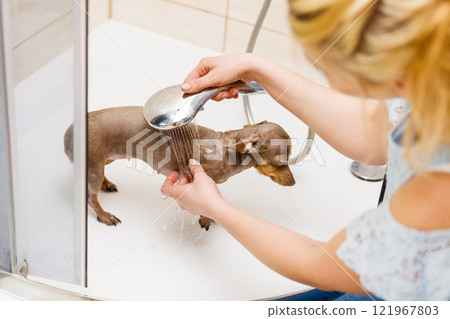 Woman showering her dog Woman showering her dog 121967803