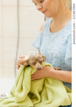 Woman drying dog after bath Woman drying dog after bath 121967804