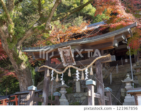 Takuhikotakuhime Shrine in autumn with beautiful autumn leaves Takuhikotakuhime Shrine in autumn with beautiful autumn leaves 121967856