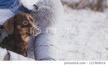 Person holding dog during winter 121968018