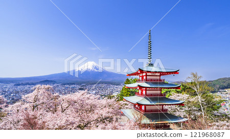 Spring scenery of Arakurayama Sengen Park under clear blue skies: Mt. Fuji, Chureito Pagoda and cherry blossoms in full bloom [Fujiyoshida City, Yamanashi Prefecture] 121968087