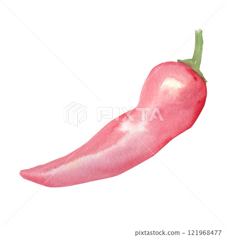 Paprika, chili pepper, sweet red pepper watercolor set isolated on white. High quality illustration. Hand painted garden plant great for packages, cook books, oil bottles, recipes, cards decor design 121968477