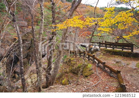 Ryuokyo Gorge in Nikko City in autumn: Musasabi Bridge surrounded by autumn leaves 121968512