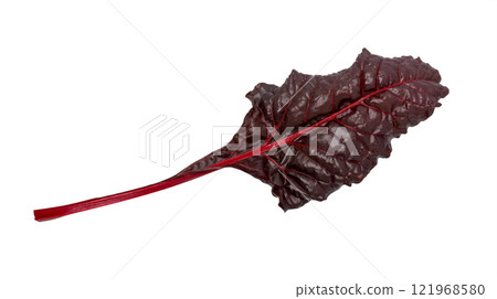 Beetroot leaves, fresh beet leaf Beetroot leaves, fresh beet leaf 121968580
