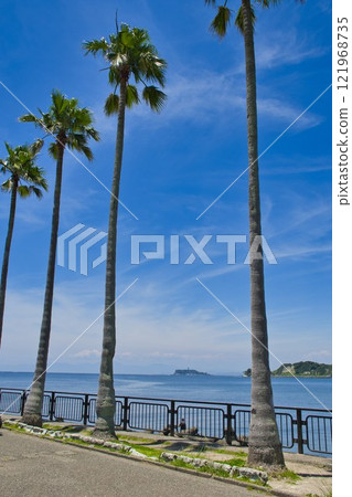 【祖師城】祖師碼頭一排棕櫚樹 121968735