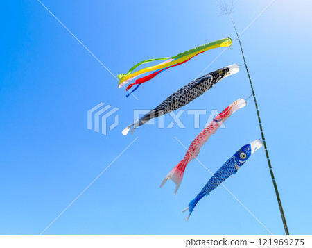 Carp streamer 121969275