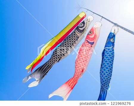 Carp streamer 121969276