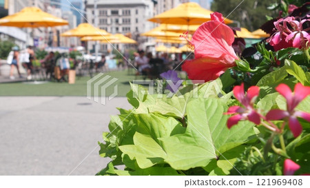 New York City Manhattan Broadway, 23 street, 5 avenue crossroad. Worth, Madison Square, Flatiron USA New York City Manhattan Broadway, 23 street, 5 avenue crossroad. Worth, Madison Square, Flatiron USA 121969408