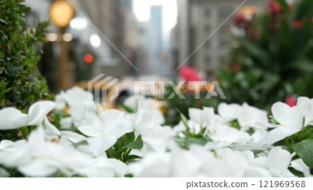 New York City Manhattan Broadway, 23 street, 5 avenue crossroad. Worth, Madison Square, Flatiron USA 121969568