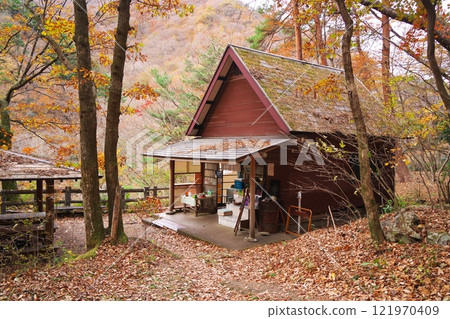 Autumn at Ryuokyo Gorge in Nikko City: Musasabi Chaya surrounded by yellow leaves 121970409