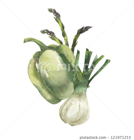 Green vegetables composition with sweet pepper, onion shallot and asparagus branches watercolor illustration. Hand drawn organic vegan food clipart for grocery shop, food market label, logo design. 121971253