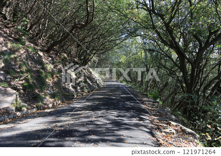 Yashima Kitamine Summit Hiking Trail (North to South) Yashima Kitamine Summit Hiking Trail (North to South) 121971264
