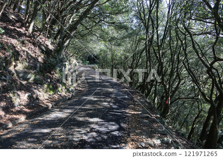 屋島北山山頂登山步道（由北到南） 121971265