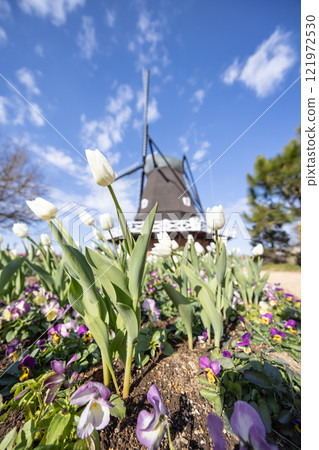 Scenery of the windmills at Funabashi Andersen Park Scenery of the windmills at Funabashi Andersen Park 121972530