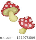  毒蘑菇 121973609