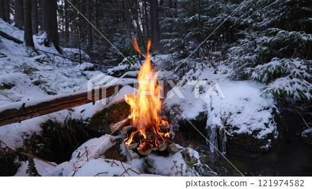 Campfire in the winter forest with stream, close-up Campfire in the winter forest with stream, close-up 121974582