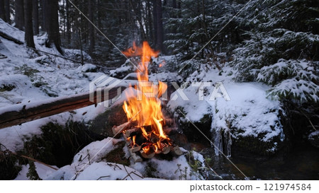 Campfire in the winter forest with stream, close-up 121974584