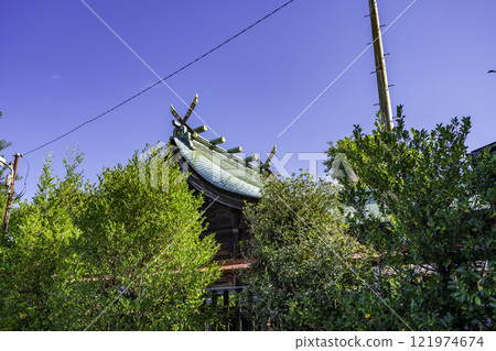 Ichinomiya Ogami Shrine Main Hall Ichinomiya City, Aichi Prefecture Ichinomiya Ogami Shrine Main Hall Ichinomiya City, Aichi Prefecture 121974674
