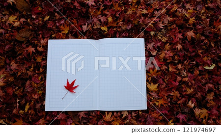 Image material of leaves and diary 121974697