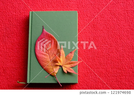 Image material of colored leaves and reading Image material of colored leaves and reading 121974698