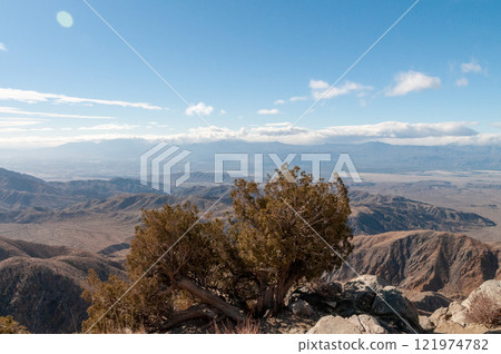Joshua Tree National Park 121974782