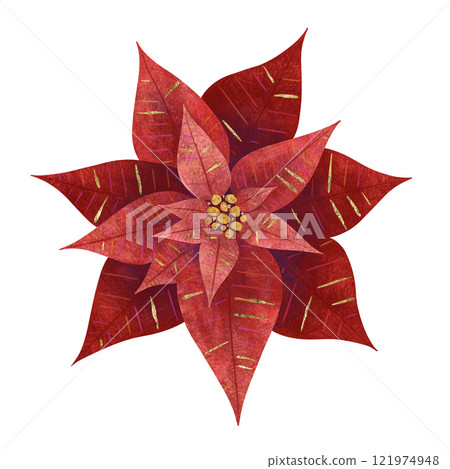 Christmas flower red poinsettia, unique digital handmade illustration isolated on white background. For creating holiday greeting cards and invitations, packaging, printing on textiles, wallpapers. Christmas flower red poinsettia, unique digital handmade illustration isolated on white background. For creating holiday greeting cards and invitations, packaging, printing on textiles, wallpapers. 121974948