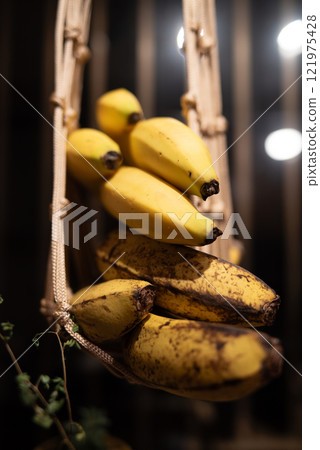 Hanging bananas Hanging bananas 121975428