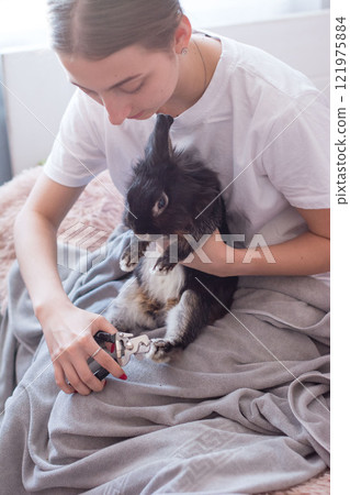 Woman gently trimming her pet rabbit's nails on a fluffy bed. A moment of tender care. Woman gently trimming her pet rabbit's nails on a fluffy bed. A moment of tender care. 121975884