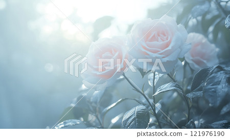 Two pink roses surrounded by green foliage in a flowering bush 121976190
