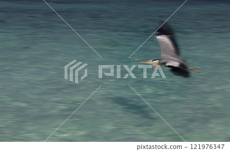 A graceful heron glides effortlessly over tranquil turquoise waters, its wings spread wide in elegant flight 121976347