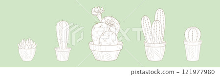 Cactus Succulent Plant Grow in Pot Line Vector Set 121977980