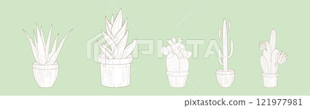 Cactus Succulent Plant Grow in Pot Line Vector Set 121977981