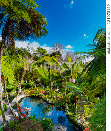 Japanese Monte Palace tropical garden on Madeira with greenery, red bridges, and a koi pond for serene beauty and tranquility 121978139