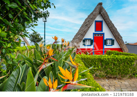 Traditional hut houses and garden of Madeira in village Santana. Sunny day in Portugal, tourist destination 121978188