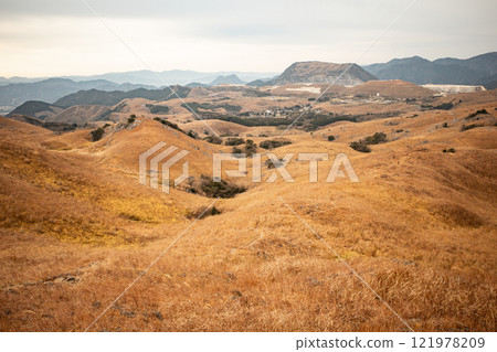 Hiraodai grassland 121978209