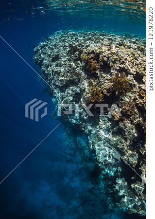 Reef with corals underwater in tropical blue ocean. Reef with corals underwater in tropical blue ocean. 121978220